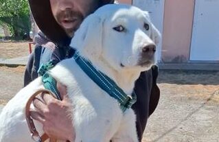 Tucker