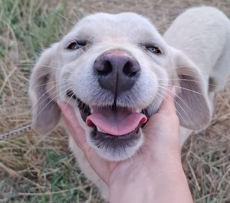Casper